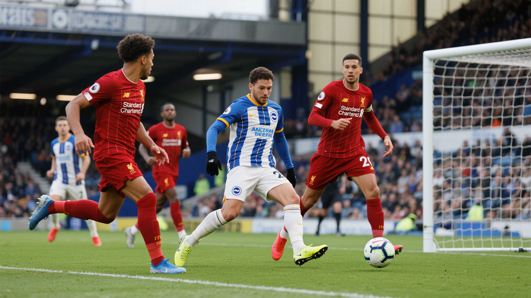 了坚实的基 了坚实的基