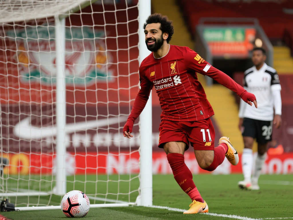 不仅展现了 不仅展现了