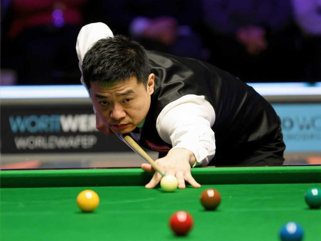 都是实力相 都是实力相