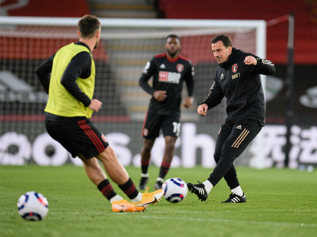 为未来几年 为未来几年